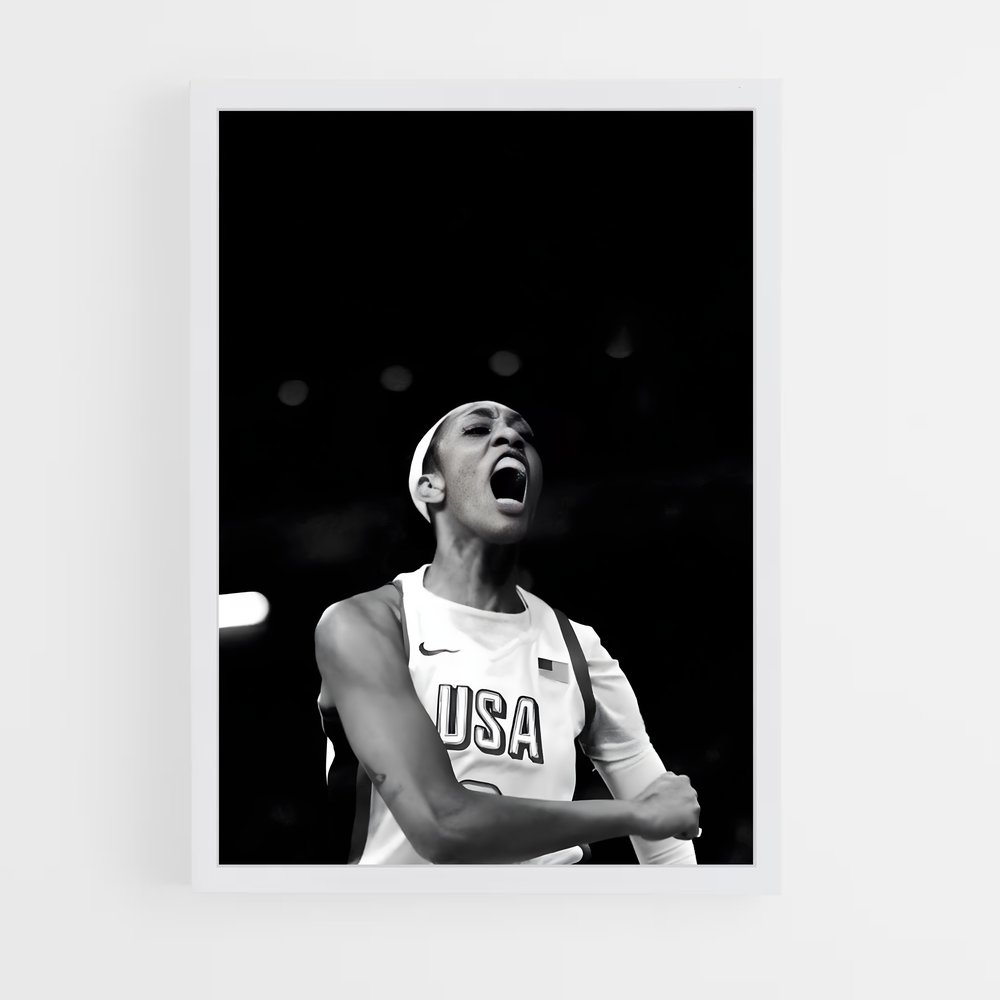 Poster wilson basketball (vue 3)